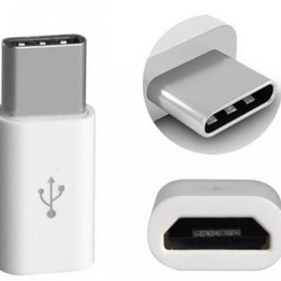 Alfais 4696 Type C Usb 3.1 To Micro Usb ÇEVİRİCİ Dönüştürücü Adaptör