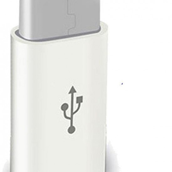 Alfais 4696 Type C Usb 3.1 To Micro Usb ÇEVİRİCİ Dönüştürücü Adaptör