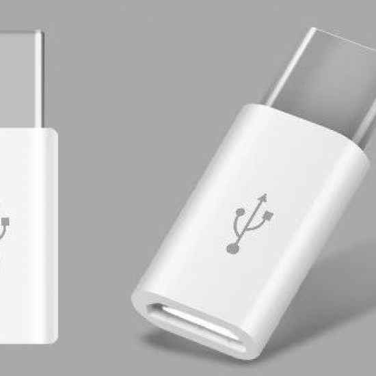 Alfais 4696 Type C Usb 3.1 To Micro Usb ÇEVİRİCİ Dönüştürücü Adaptör